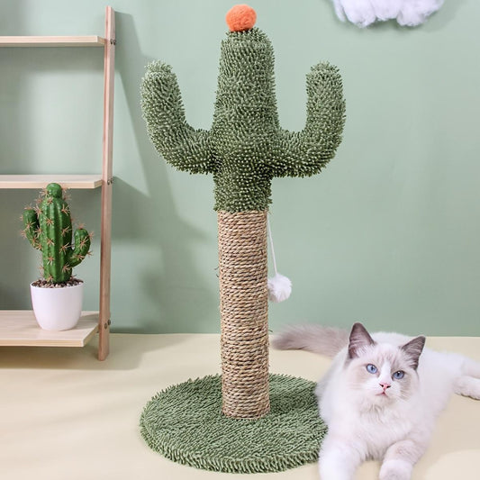Cactus Cat Scratching Post Good For Play And Exercise