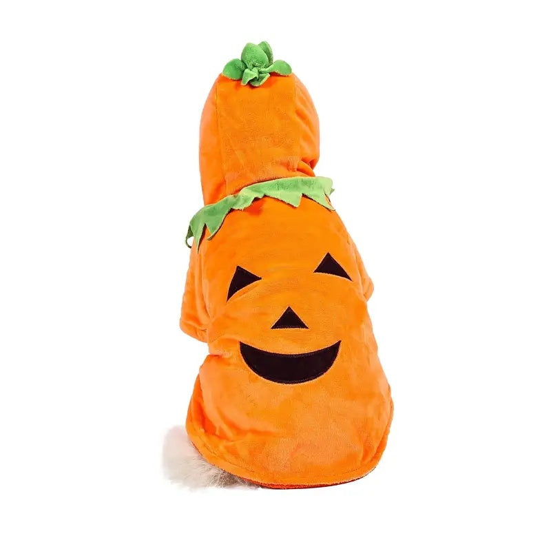 Dog Hoodie Cute Funny Halloween Style Pumpkin Cosplay