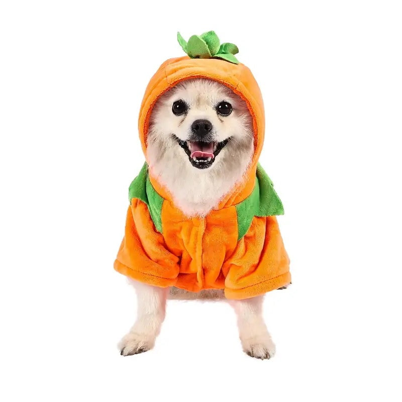 Dog Hoodie Cute Funny Halloween Style Pumpkin Cosplay