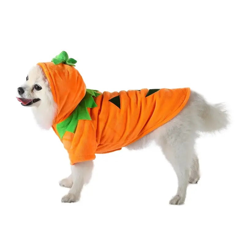 Dog Hoodie Cute Funny Halloween Style Pumpkin Cosplay