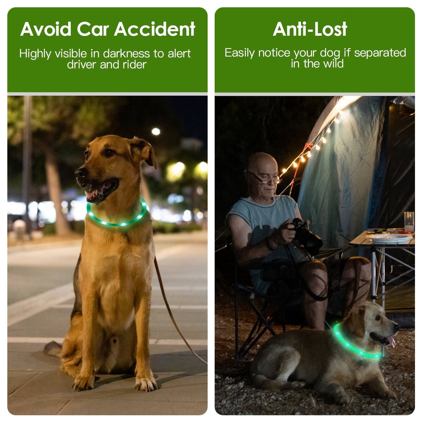 USB Rechargeable LED Dog Collar Multi Color Cuttable Length Night Walking