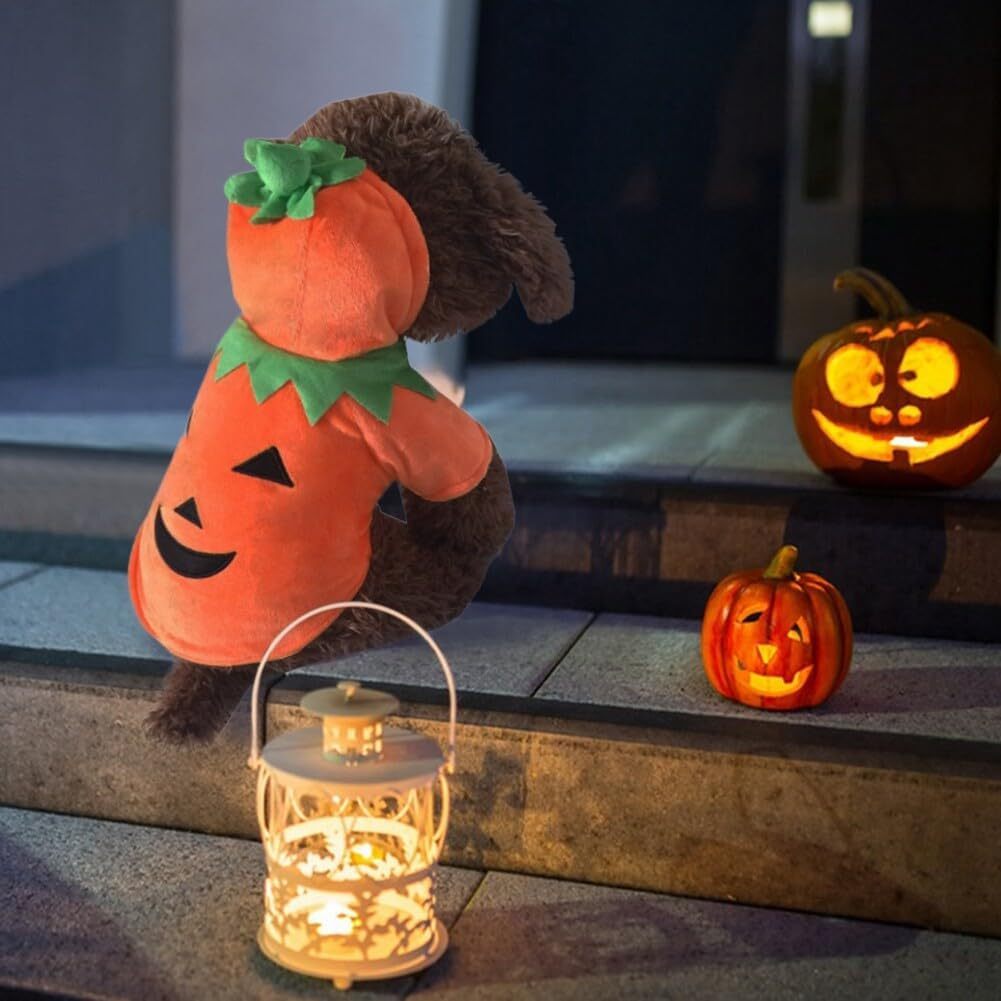 Dog Hoodie Cute Funny Halloween Style Pumpkin Cosplay