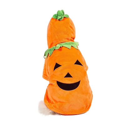 Dog Hoodie Cute Funny Halloween Style Pumpkin Cosplay