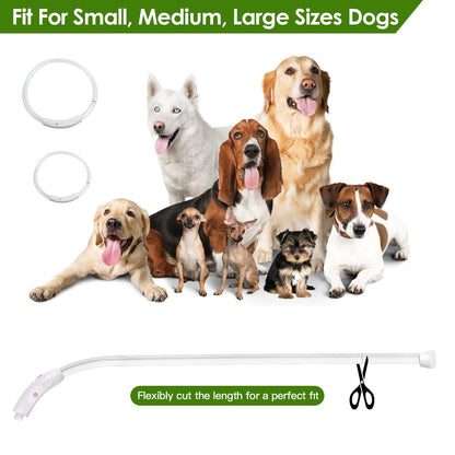 USB Rechargeable LED Dog Collar Multi Color Cuttable Length Night Walking