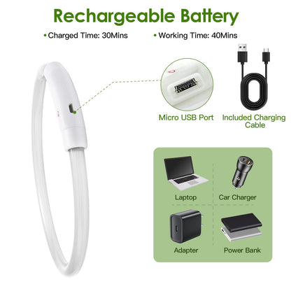 USB Rechargeable LED Dog Collar Multi Color Cuttable Length Night Walking